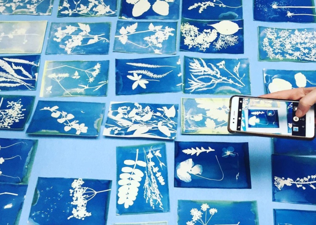 Nel blu dipinto di blu: il mio primo incontro con la cianotipia da&nbsp;Mutty