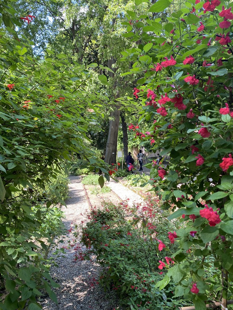 Orto Botanico di Brera