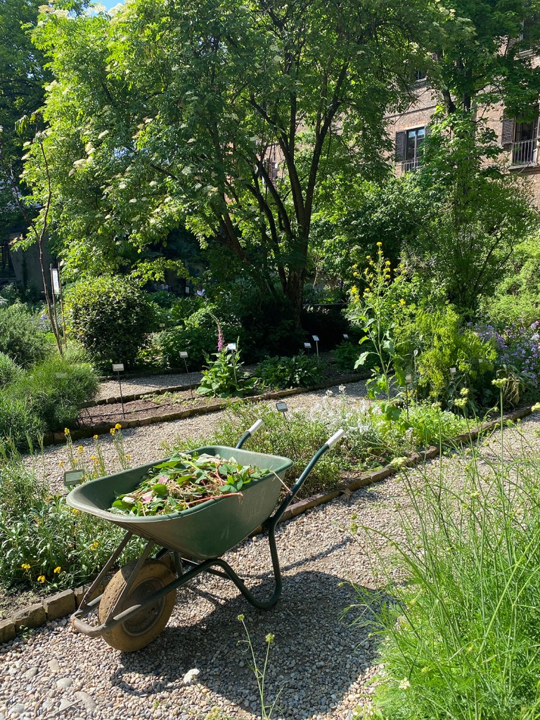 Orto Botanico di Brera