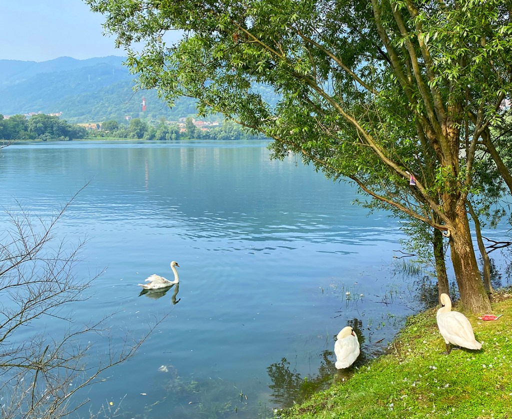 Natura e bellezza lungo l’Adda: a piedi da Calolziocorte a&nbsp;Garlate