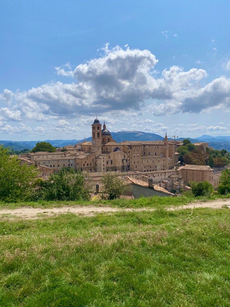 urbino