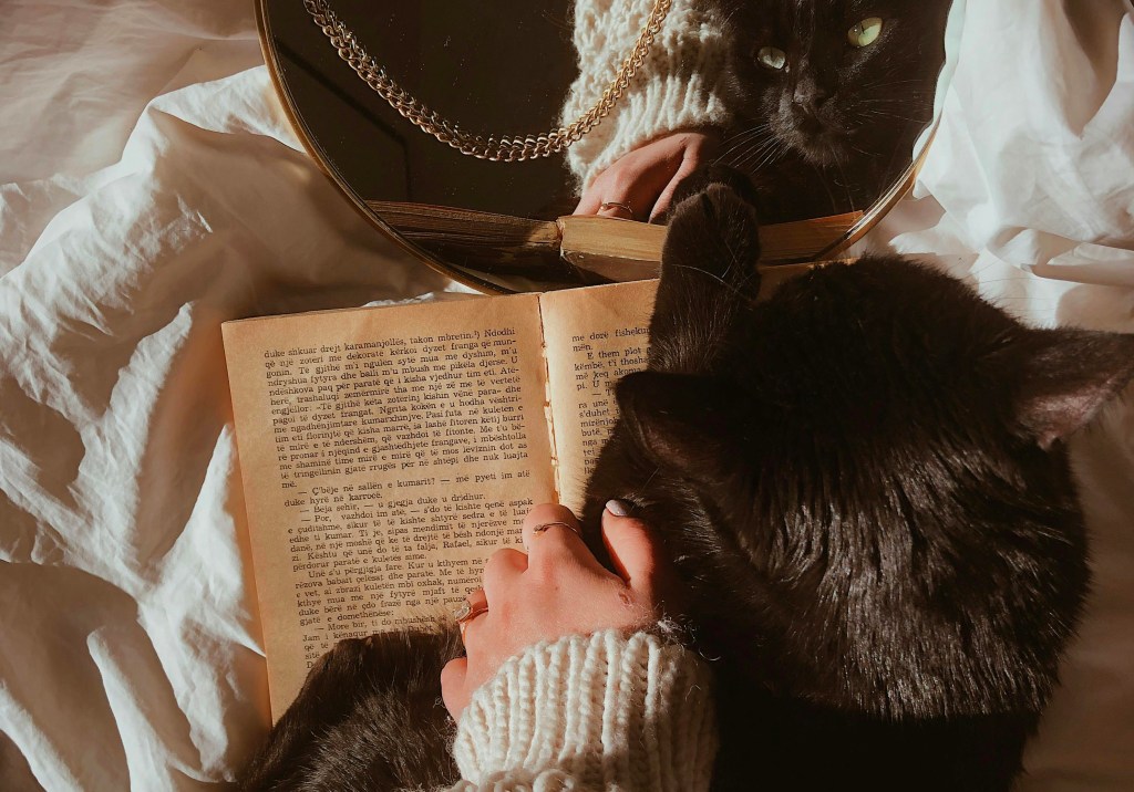 Letture d’ottobre: 5 titoli imperdibili tra horror e&nbsp;thriller