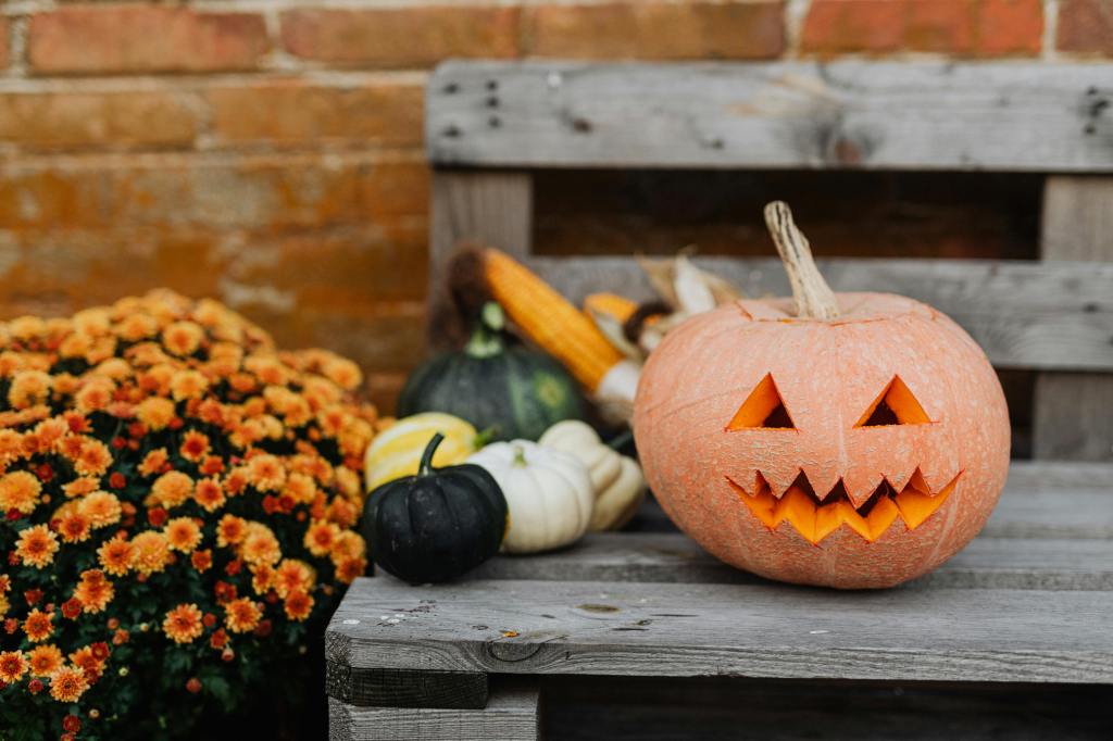 🎃 Zucche, fieno e magia: 5 pumpkin patch italiani per un ottobre&nbsp;indimenticabile