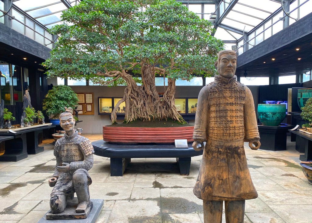 Giardini giapponesi in Italia: angoli zen dove scoprire la magia del Sol&nbsp;Levante