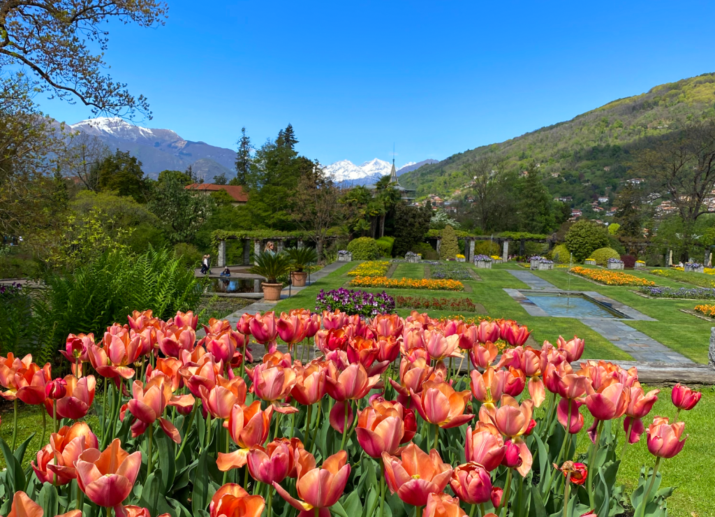 Dove fiorisce la primavera: 5 giardini italiani da non perdere