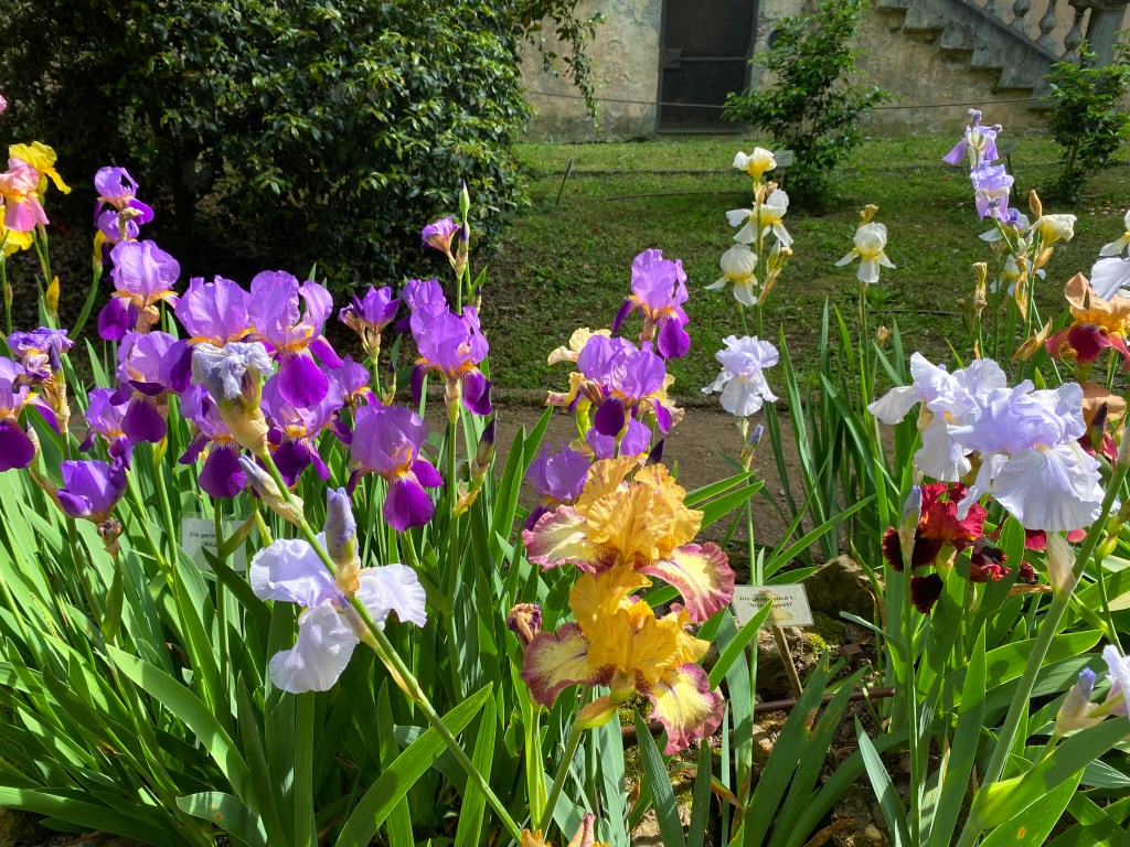 Passione verde: viaggio tra gli orti botanici più belli&nbsp;d’Italia