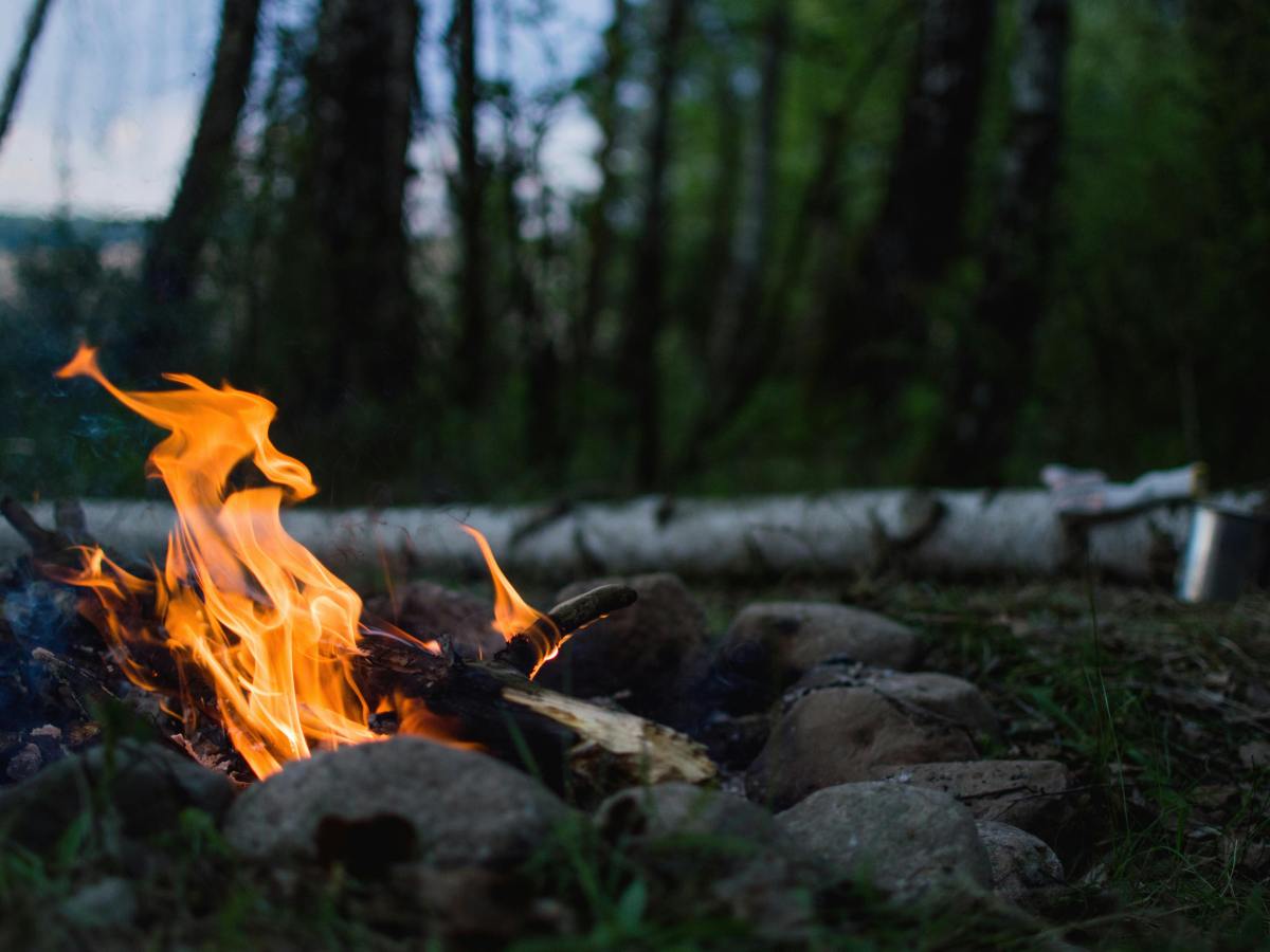 Oltre il limite: 5 serie TV wild per gli amanti del&nbsp;survival