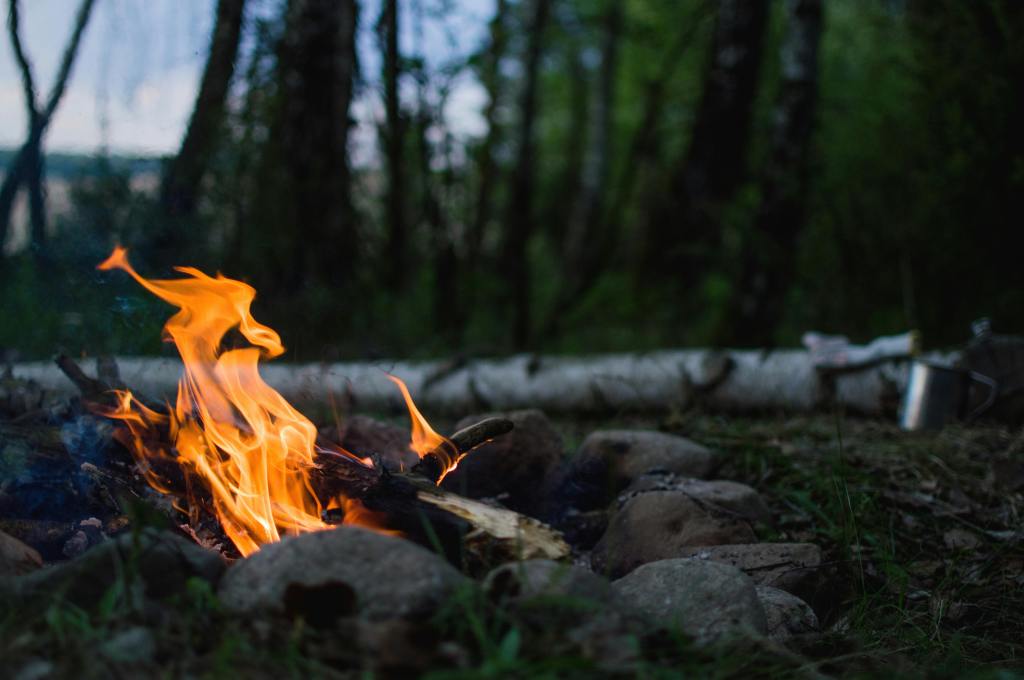 Oltre il limite: 5 serie TV wild per gli amanti del&nbsp;survival