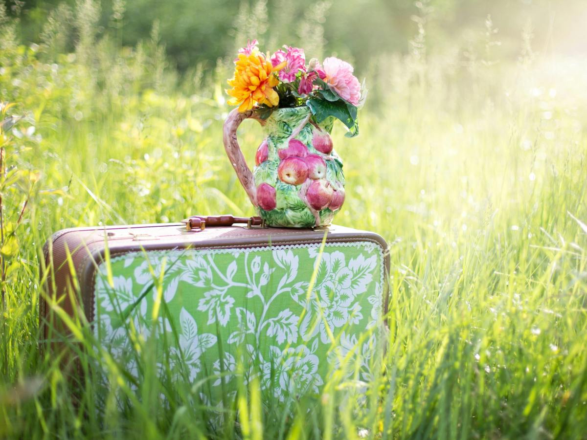 Viaggiare per rifiorire