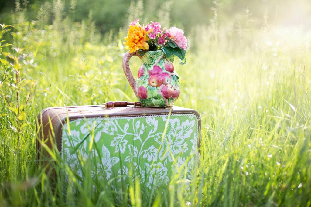 Viaggiare per rifiorire
