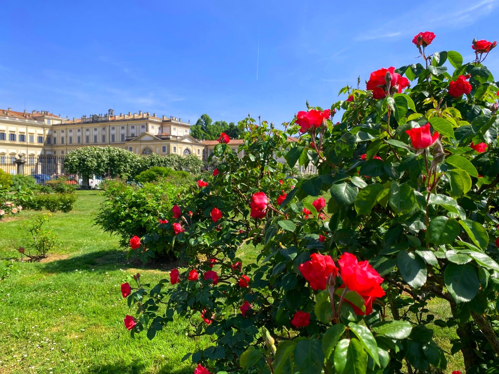 Eventi di primavera: oasi, fiori e ville storiche da vivere all’aria&nbsp;aperta