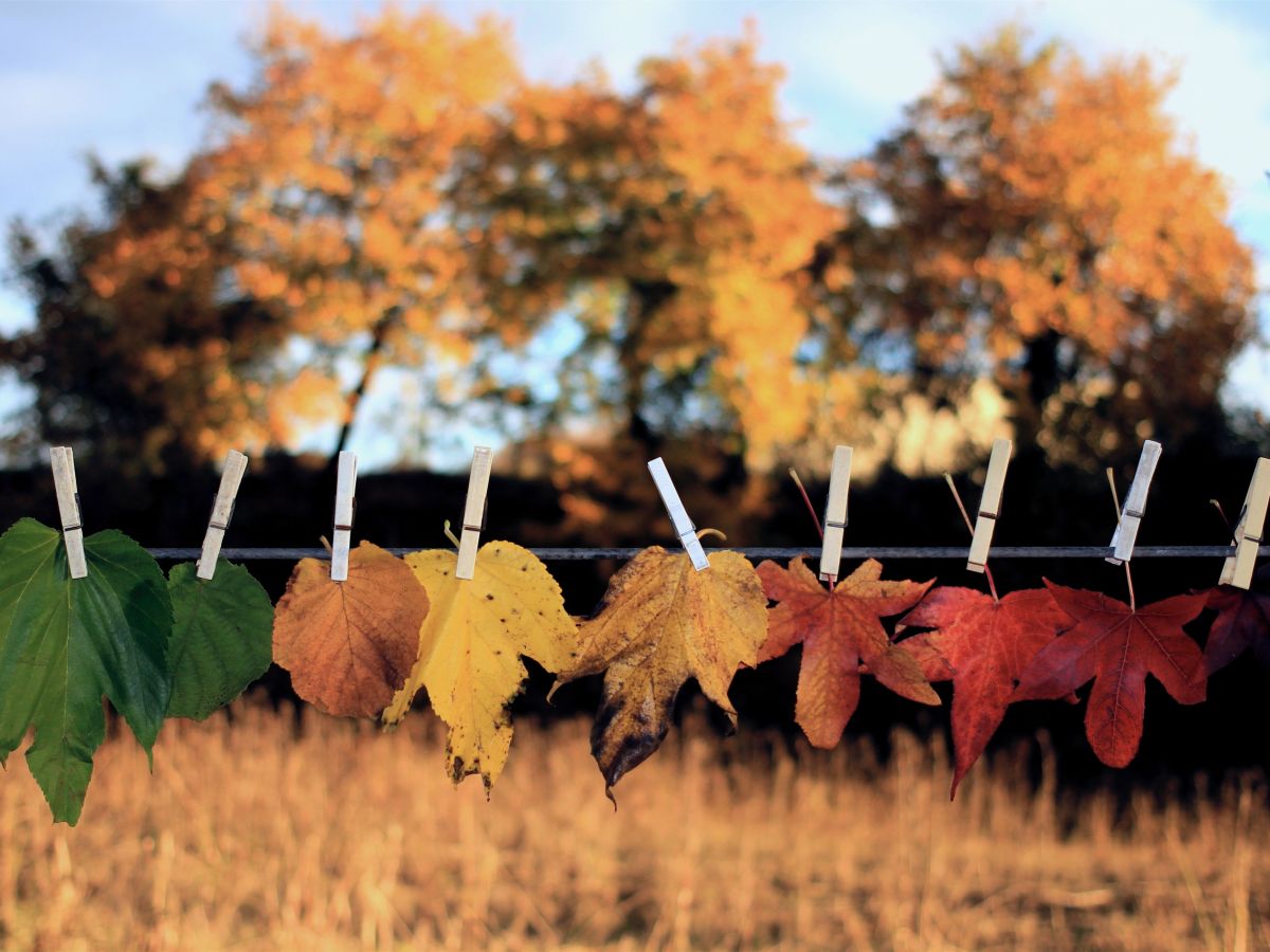 L’autunno da vivere: tra foliage, zucche e sapori&nbsp;d’Italia