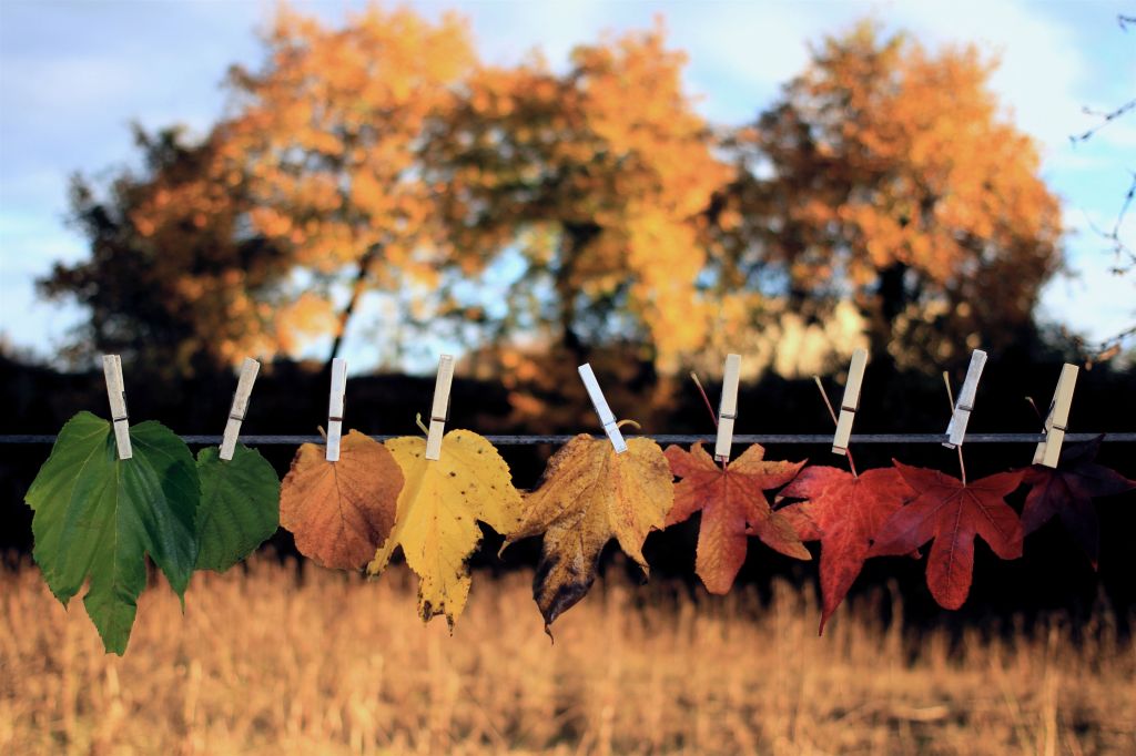 L’autunno da vivere: tra foliage, zucche e sapori&nbsp;d’Italia